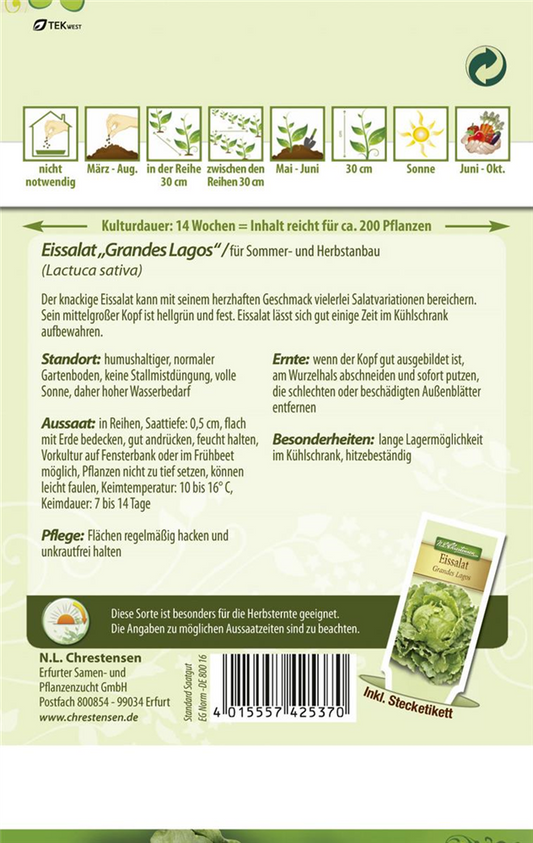 Salatsamen 'Grandes Lagos'