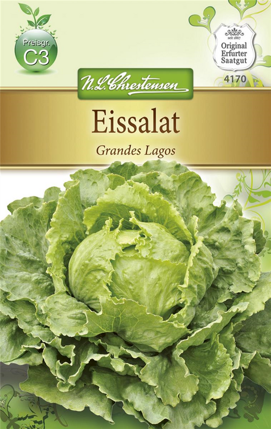 Salatsamen 'Grandes Lagos'