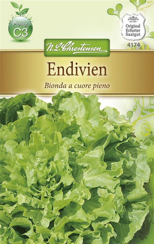 Endiviensamen 'Bionda a cuore pieno'