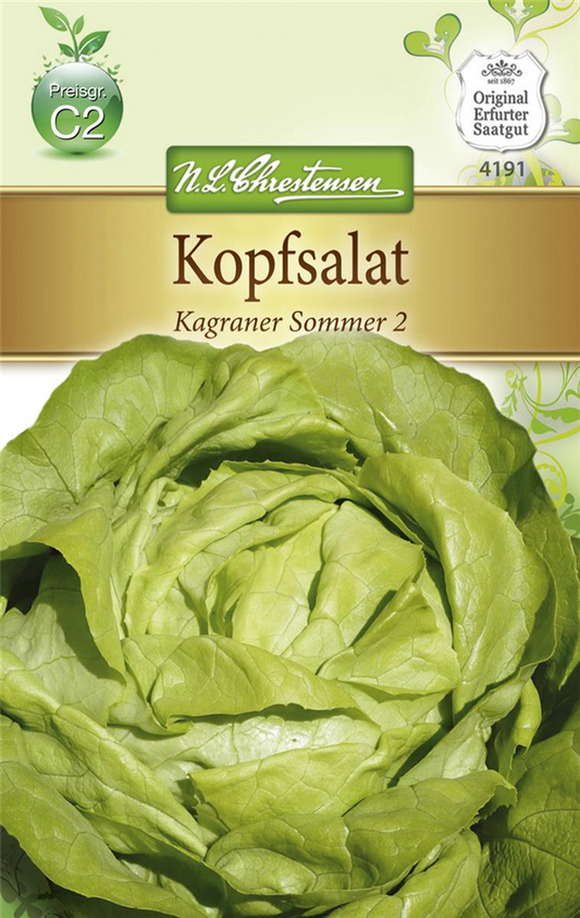 Kopfsalatsamen 'Kagraner Sommer 2'