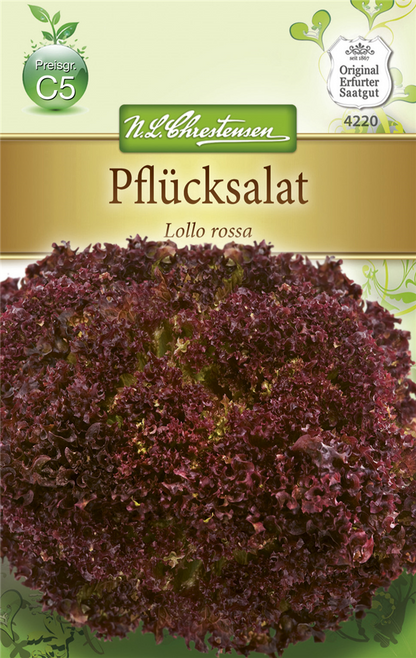 Pflücksalatsamen 'Lollo rosso'
