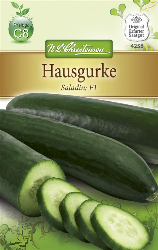 Gurkensamen 'Saladin'