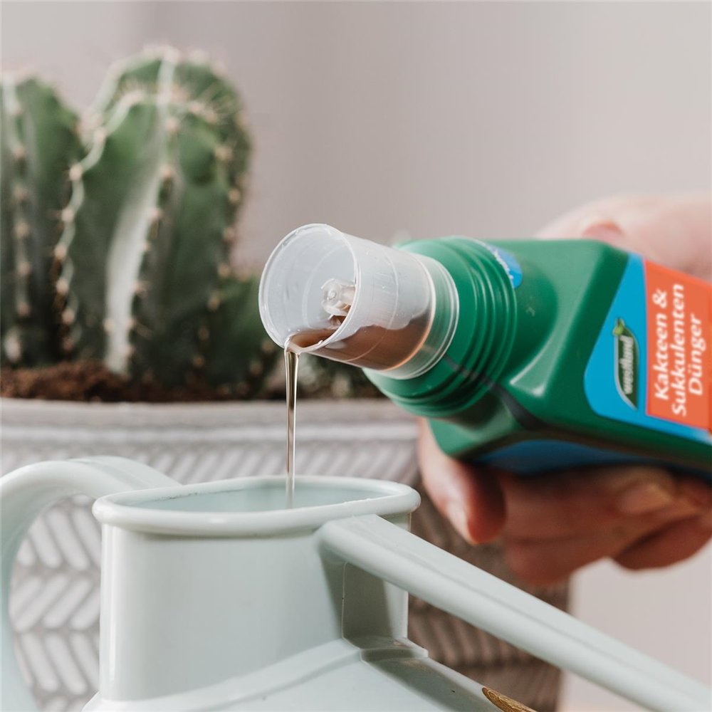 Westland Kakteen-&Sukkulentendünger 200 ml