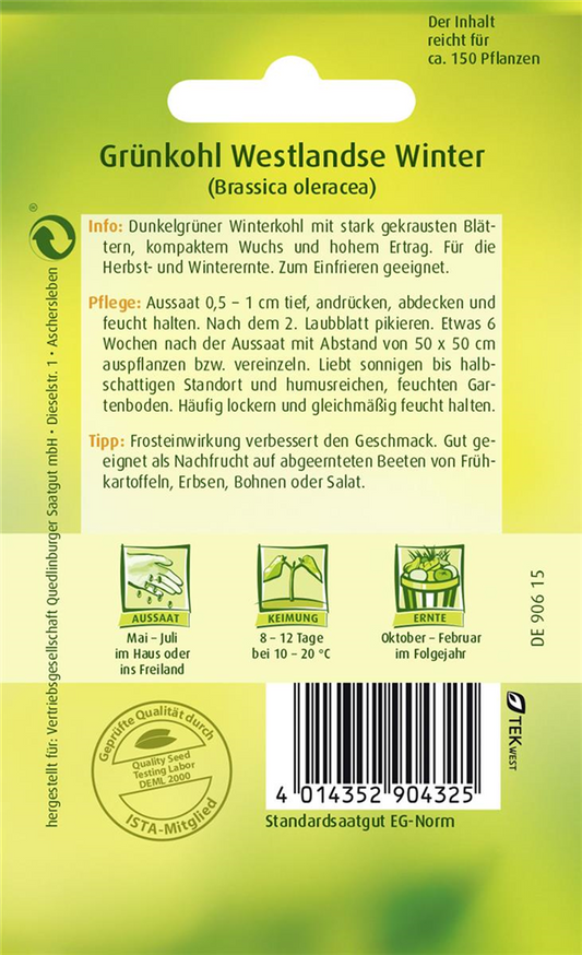Grünkohlsamen 'Westerländer Winter'