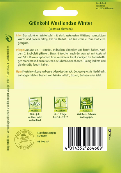 Grünkohlsamen 'Westerländer Winter'