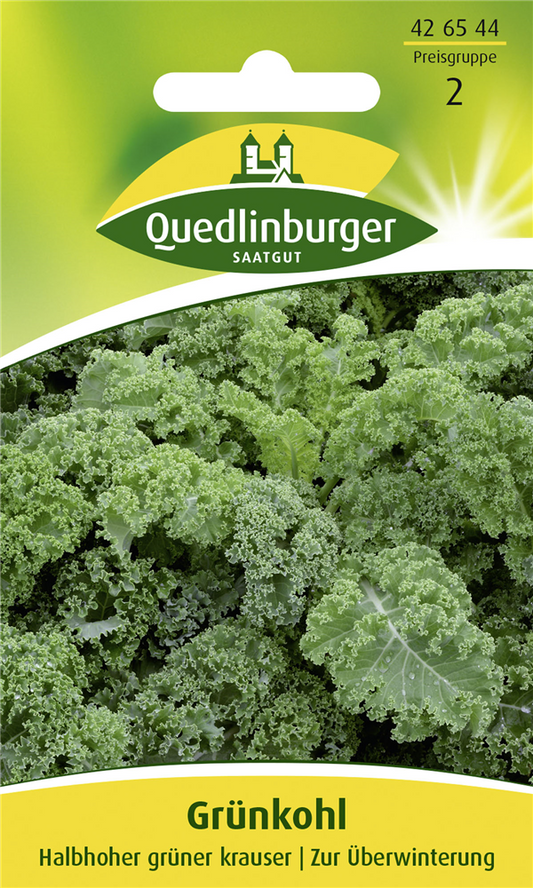 Grünkohlsamen 'Halbhoher Grüner Krauser'