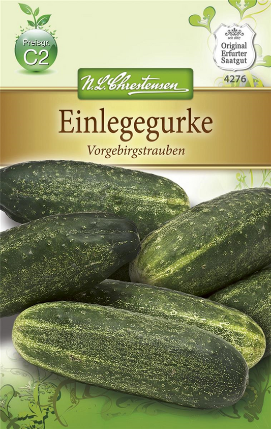 Gurkensamen 'Vorgebirgstrauben'