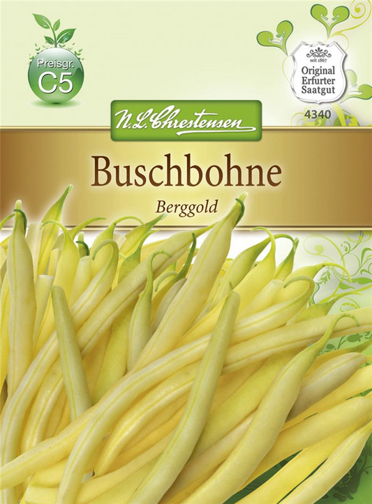 Buschbohnensamen 'Berggold'
