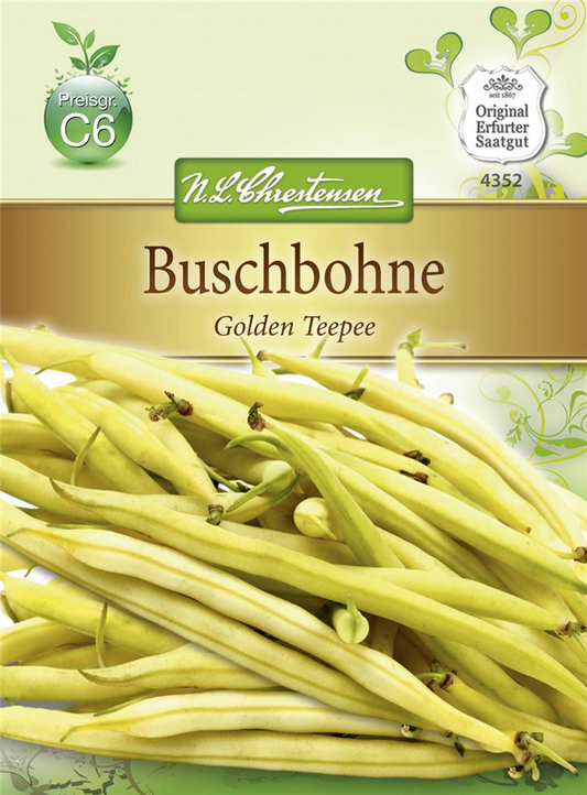 Buschbohnensamen 'Golden Teepee'