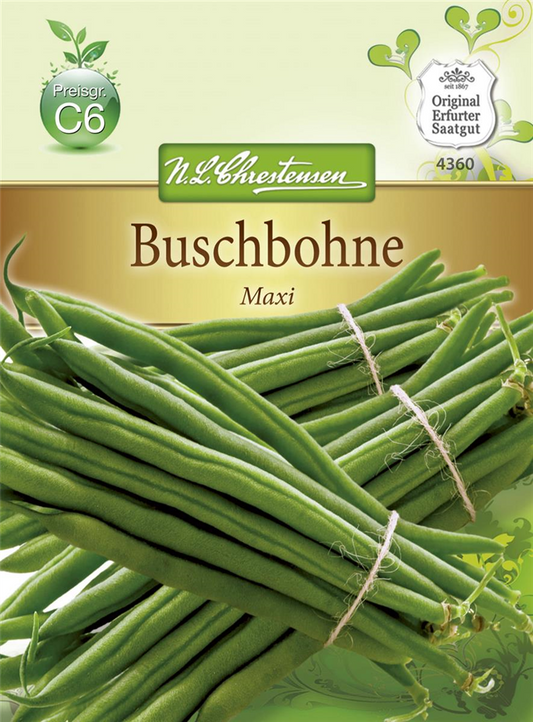Buschbohnensamen 'Maxi'