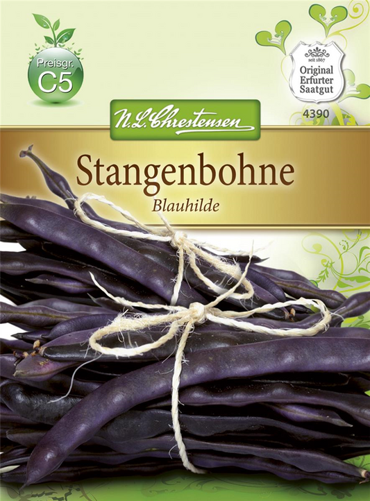 Stangenbohnensamen 'Blauhilde'
