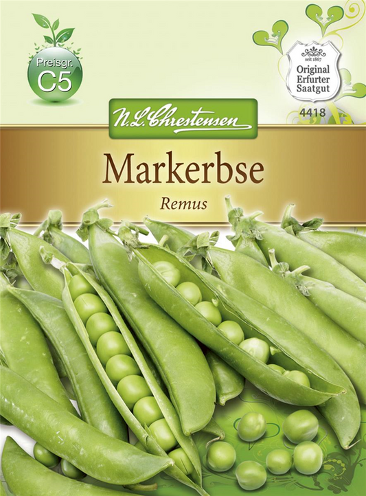Erbsensamen 'Remus'