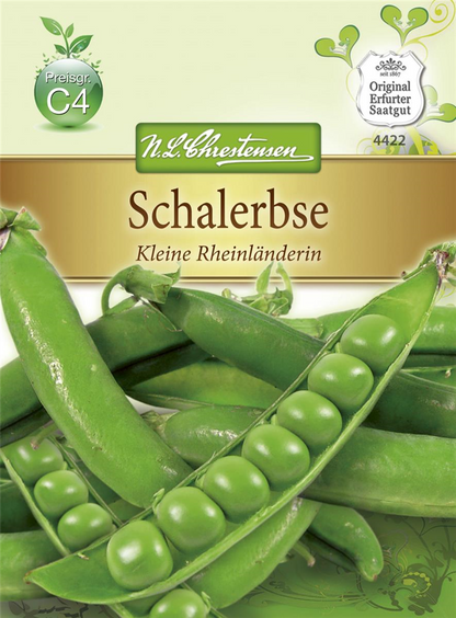 Erbsensamen 'Kleine Rheinländerin'