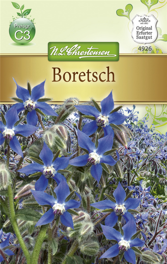 Borretschsamen