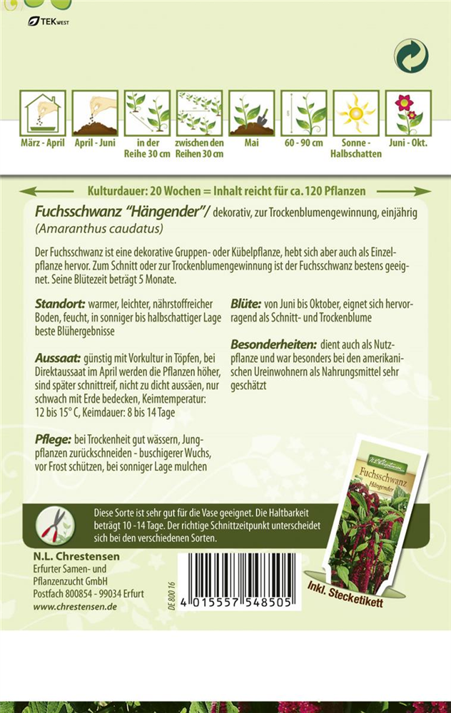Garten-Fuchsschwanz-Samen