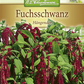 Garten-Fuchsschwanz-Samen
