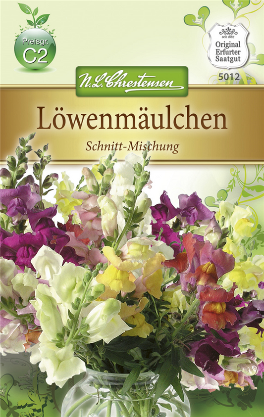 Garten-Löwenmaul-Samen