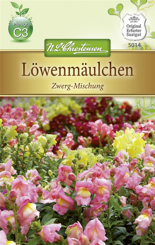 Zwerg-Löwenmaul-Samen