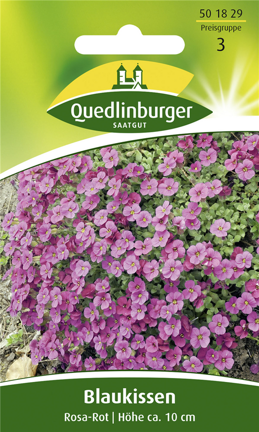 Griechisches Blaukissen-Samen