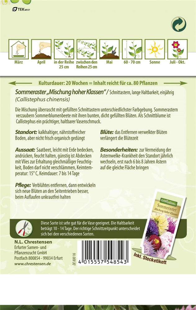 Sommerastersamen 'Mischung hoher Klassen'