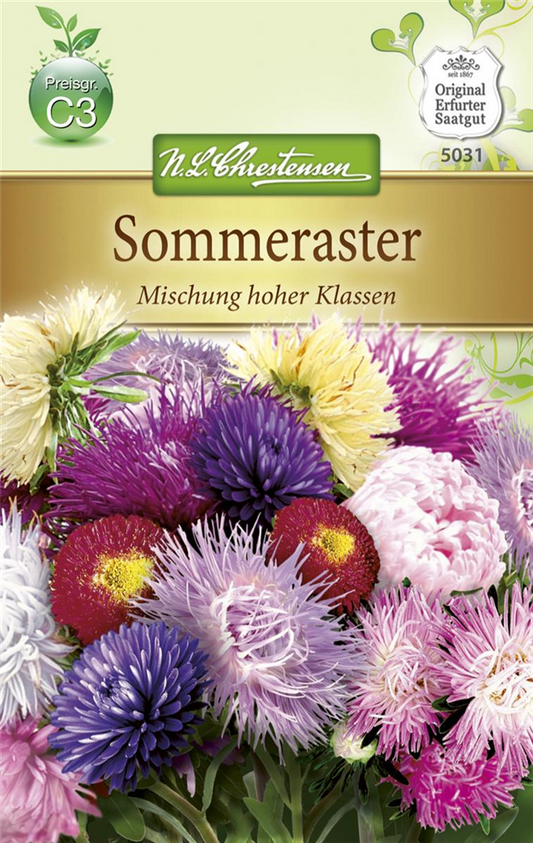 Sommerastersamen 'Mischung hoher Klassen'
