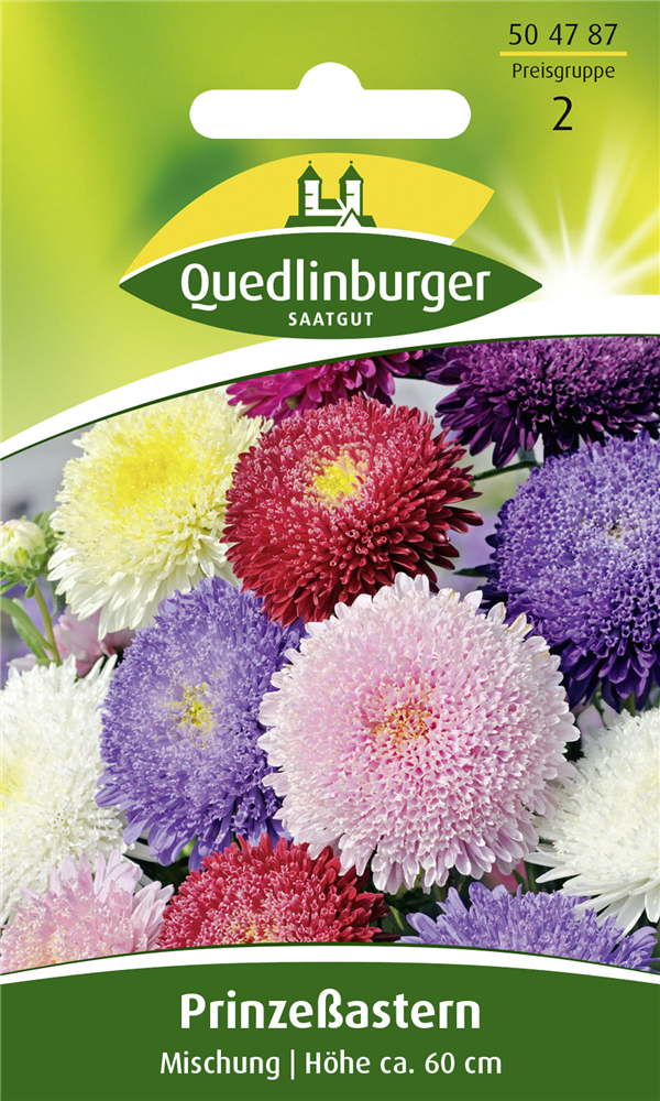 Gartenastersamen 'Prinzess'