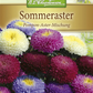 Gartenastersamen 'Pompon'