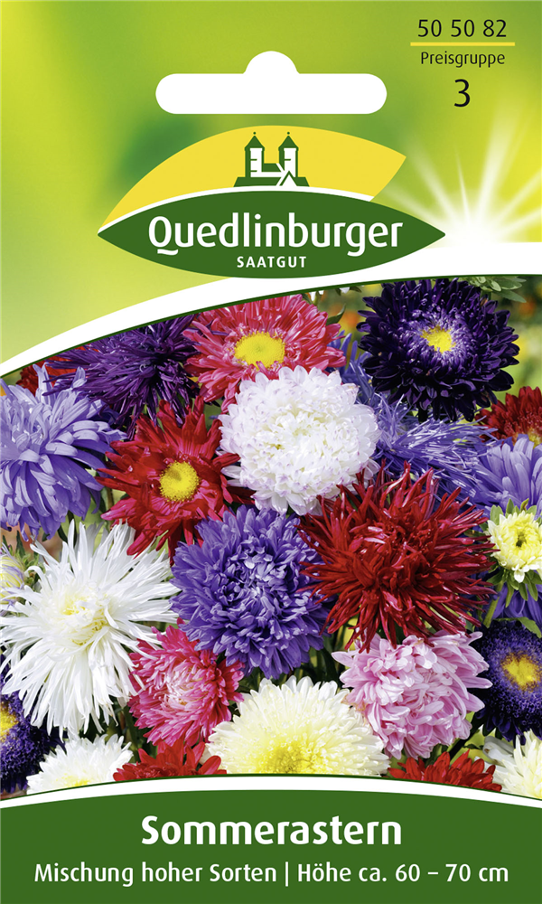 Sommerastersamen 'Hohe Sorten'