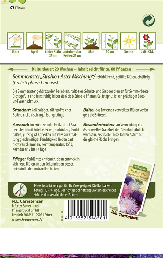 Strahlenastersamen