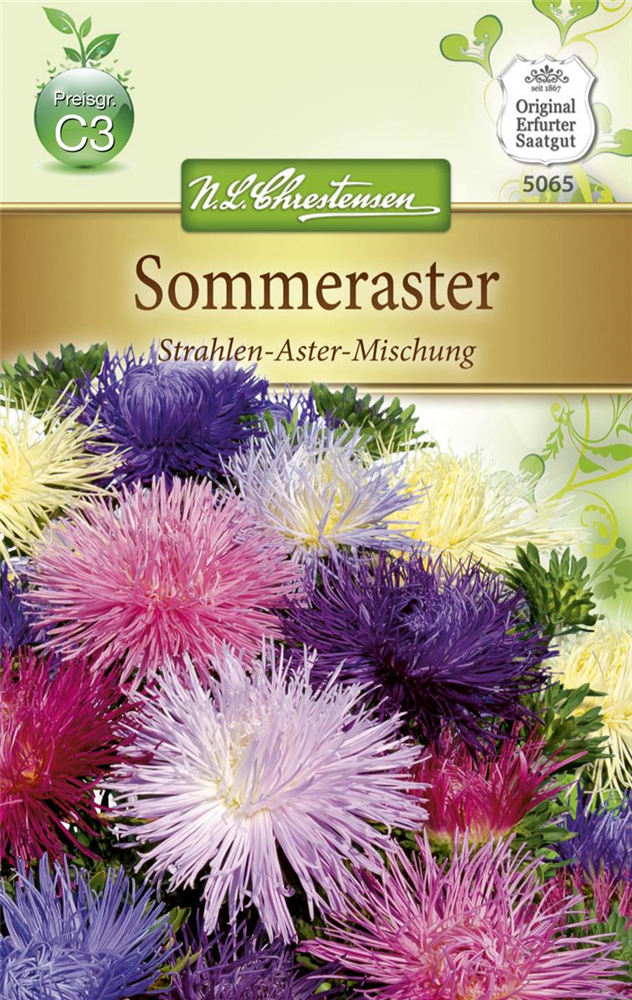 Strahlenastersamen