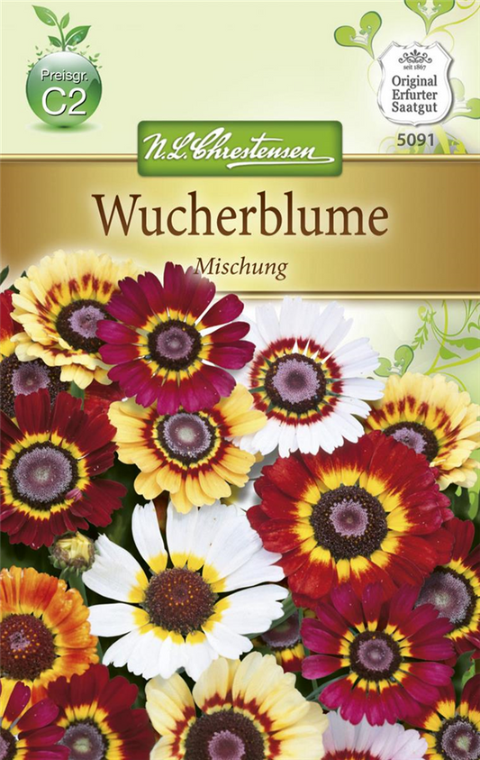 Wucherblumensamen