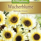 Wucherblumensamen 'Stern des Orients'