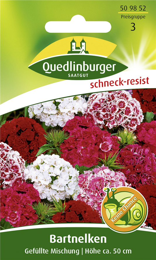 Gefüllte Bartnelke-Samen