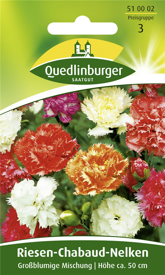 Gartennelkensamen 'Chabaud'