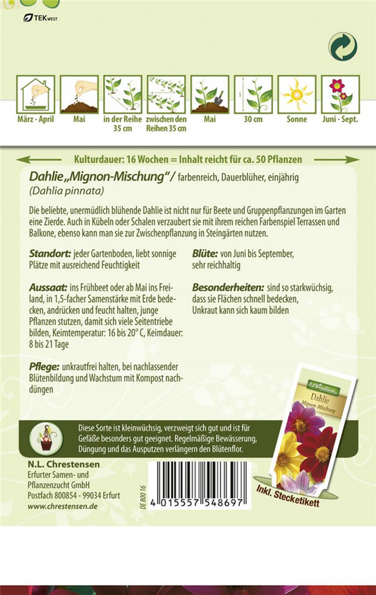 Dahliensamen 'Mignon'