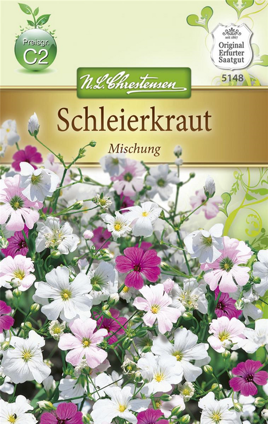 Sommer-Schleierkraut-Samen