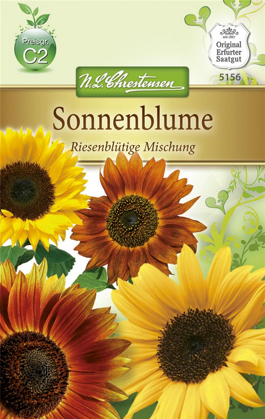 Sonnenblumensamen 'Riesenblumige'