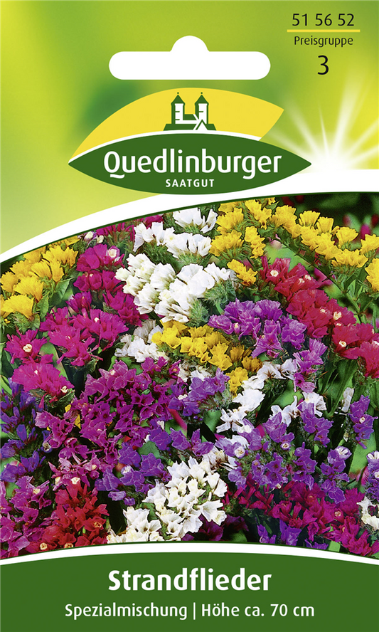 Strandfliedersamen 'Spezialmischung'