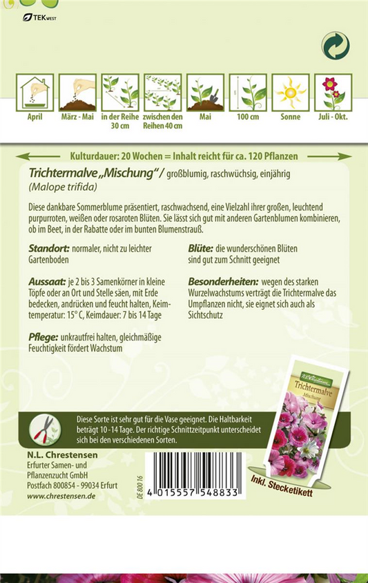 Trichtermalvensamen