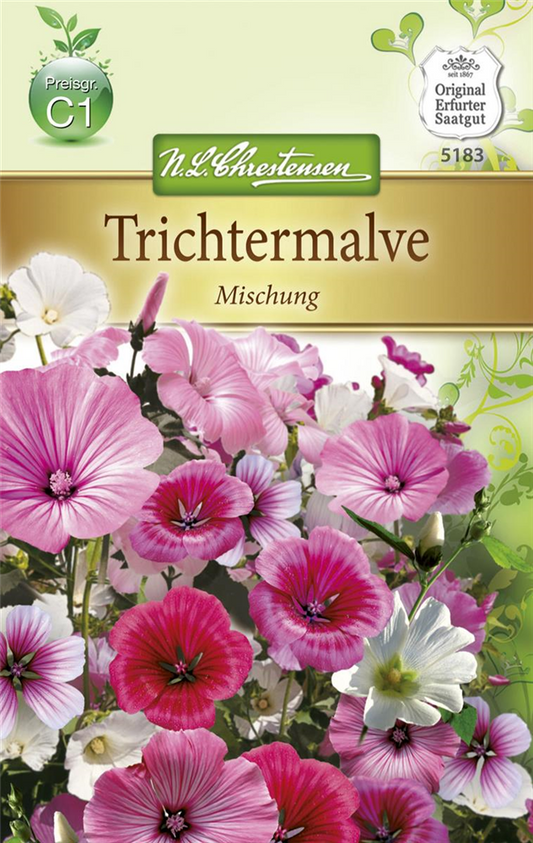 Trichtermalvensamen