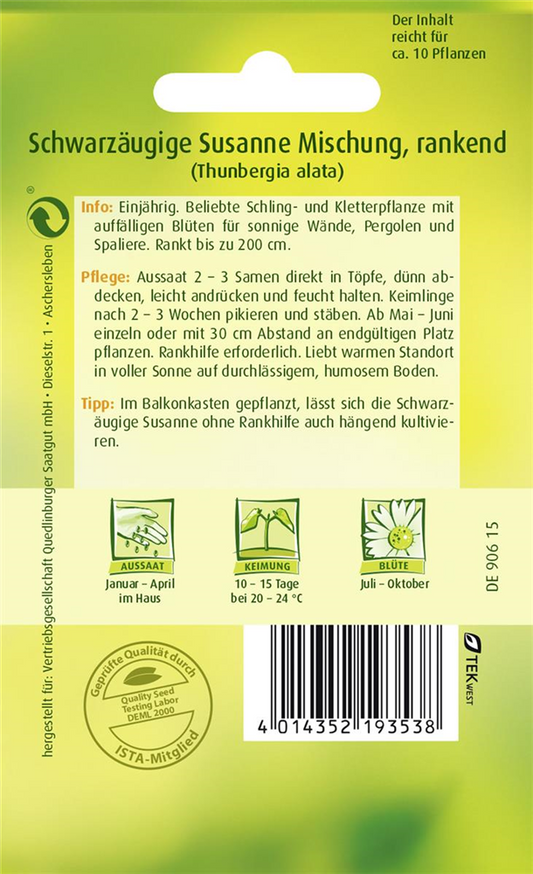 Schwarzäugige Susanne-Samen