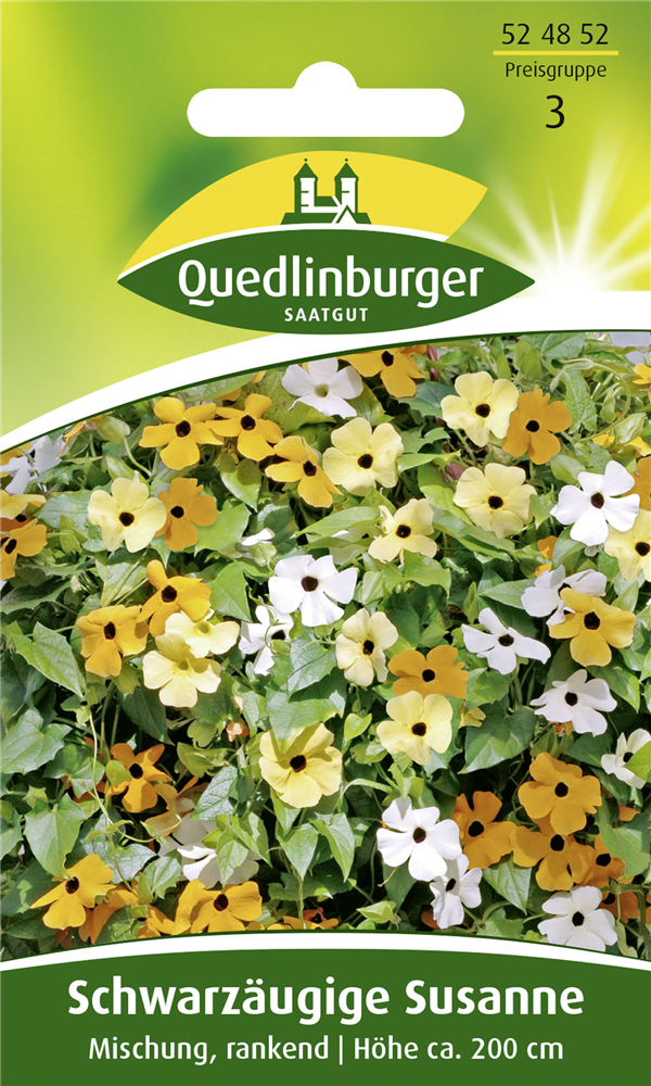 Schwarzäugige Susanne-Samen