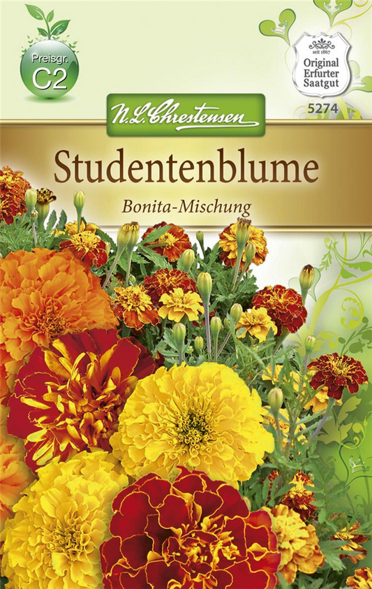 Tagetessamen 'Bonita-Mischung'