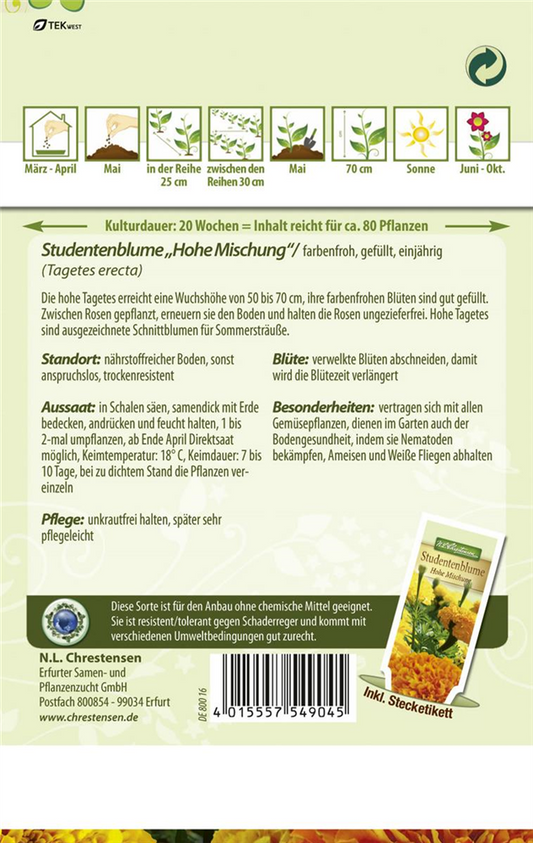 Tagetessamen 'Hohe Mischung'