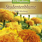 Tagetessamen 'Hohe Mischung'