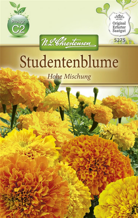 Tagetessamen 'Hohe Mischung'