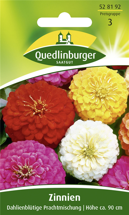 Dahlienblütige Zinnie-Samen