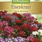 Verbenensamen
