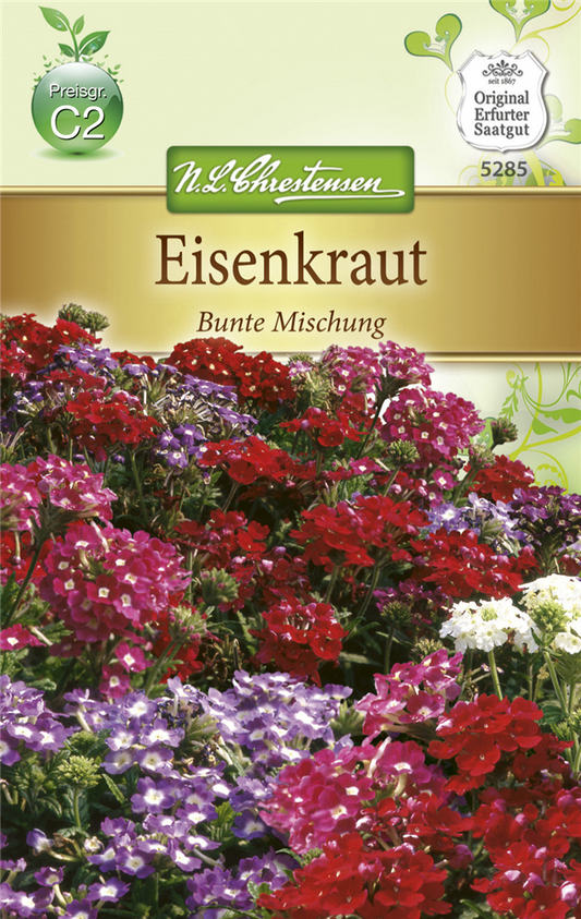 Verbenensamen