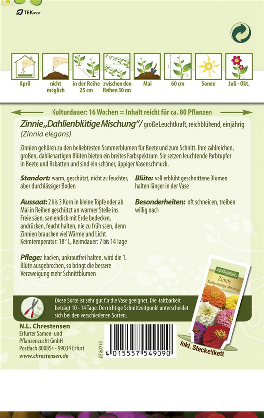 Dahlienblütige Zinnie-Samen